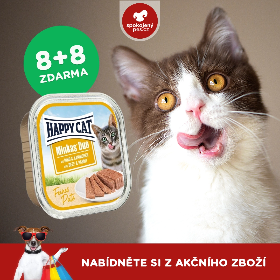 cat04 - kopie.webp